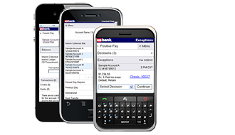 Choose Mobile website demo